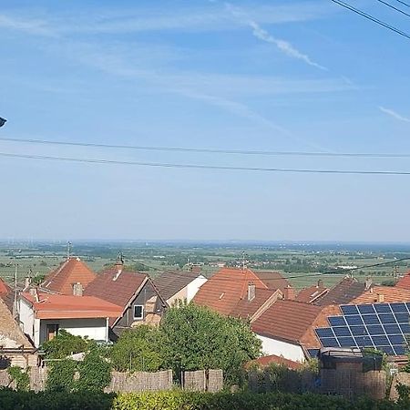 Traumblick Suedpfalz Burrweiler Exterior foto
